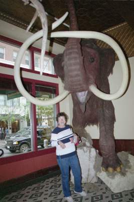 TEXAS-S.A. wHO'S BIGGER.JPG